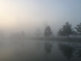 Grid Fog