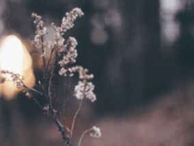 Grid Twig